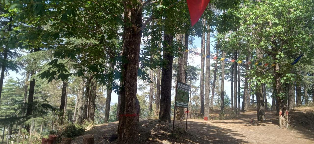 Evergreen Home Stay Almora Exteriör bild