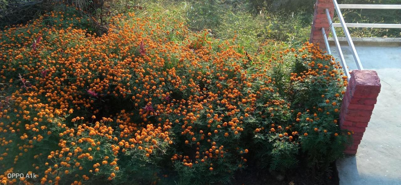 Evergreen Home Stay Almora Exteriör bild