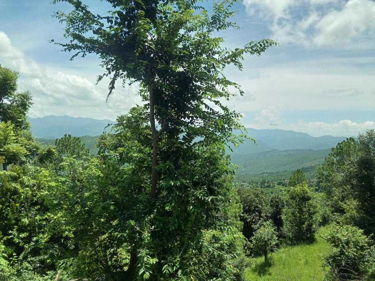 Evergreen Home Stay Almora Exteriör bild
