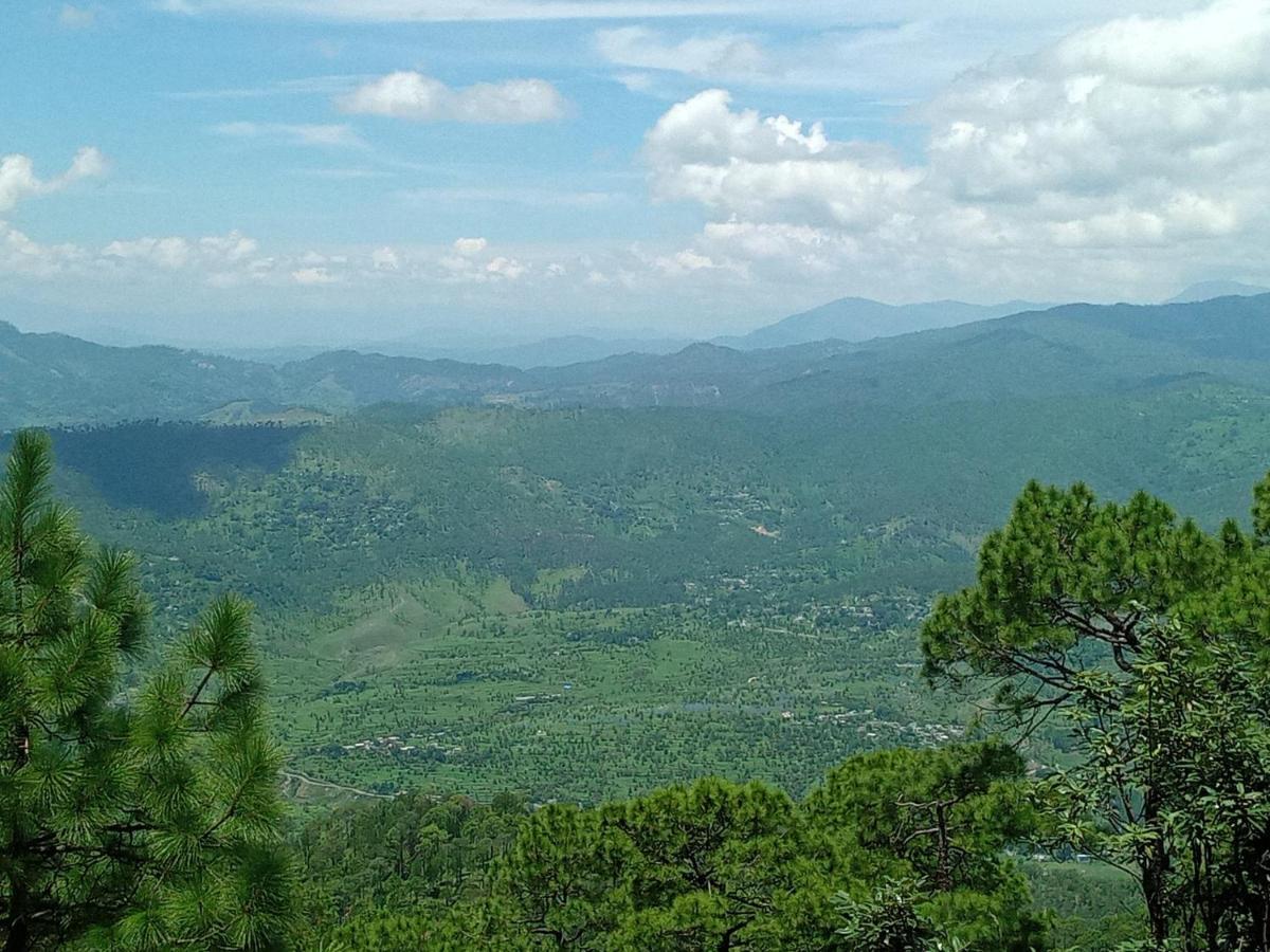 Evergreen Home Stay Almora Exteriör bild