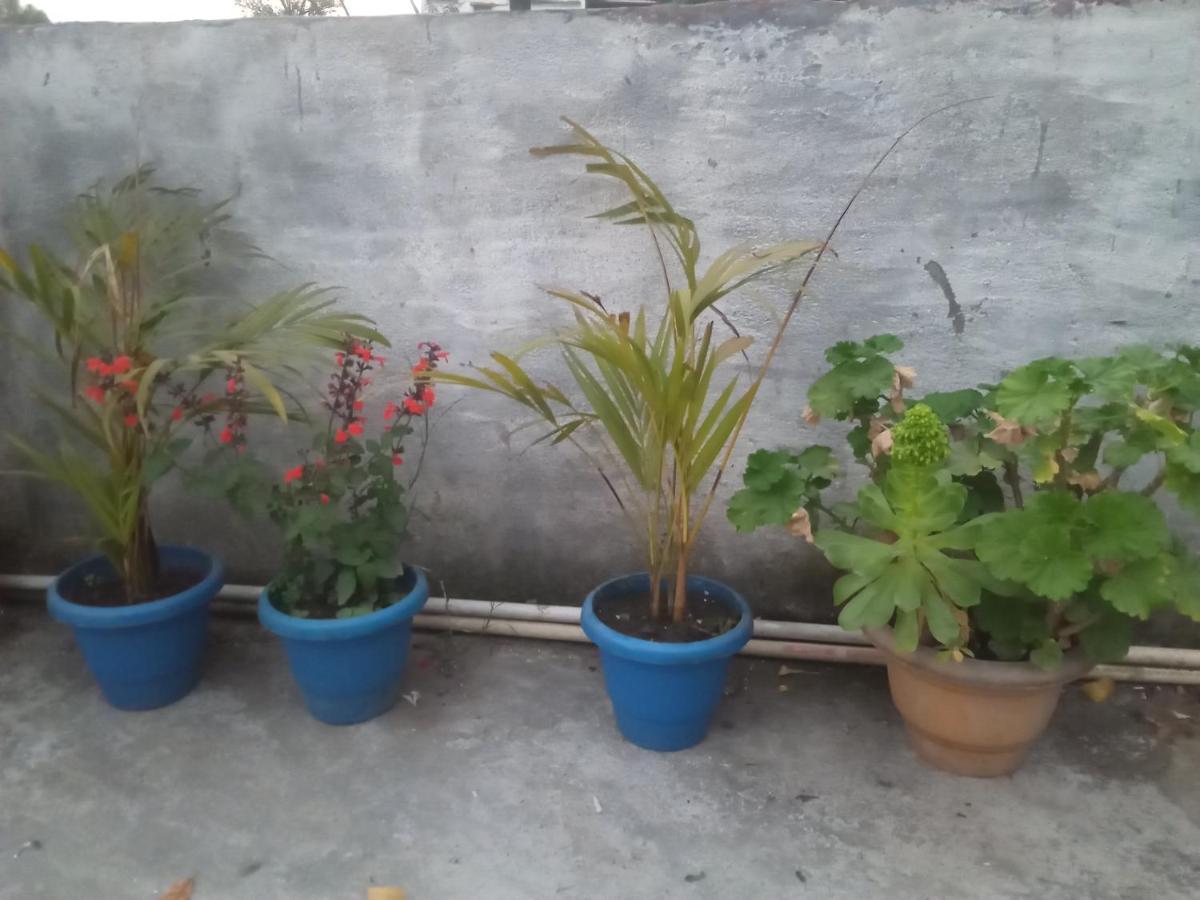 Evergreen Home Stay Almora Exteriör bild